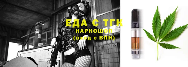 индика Вязьма