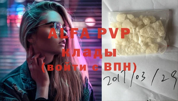 индика Вязьма