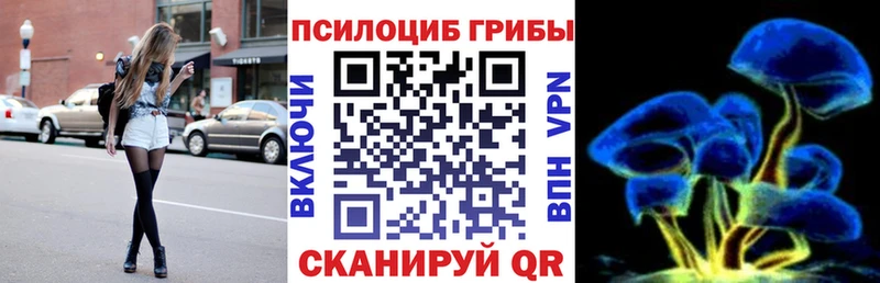 Псилоцибиновые грибы Cubensis  Купить где  Воронеж 