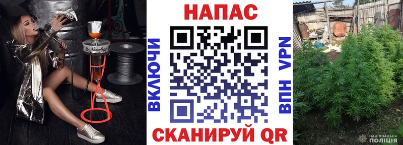 Купить  Воронеж  Канабис сатива 